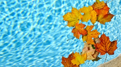 Bring The Ultimate Destination to Your Own Backyard