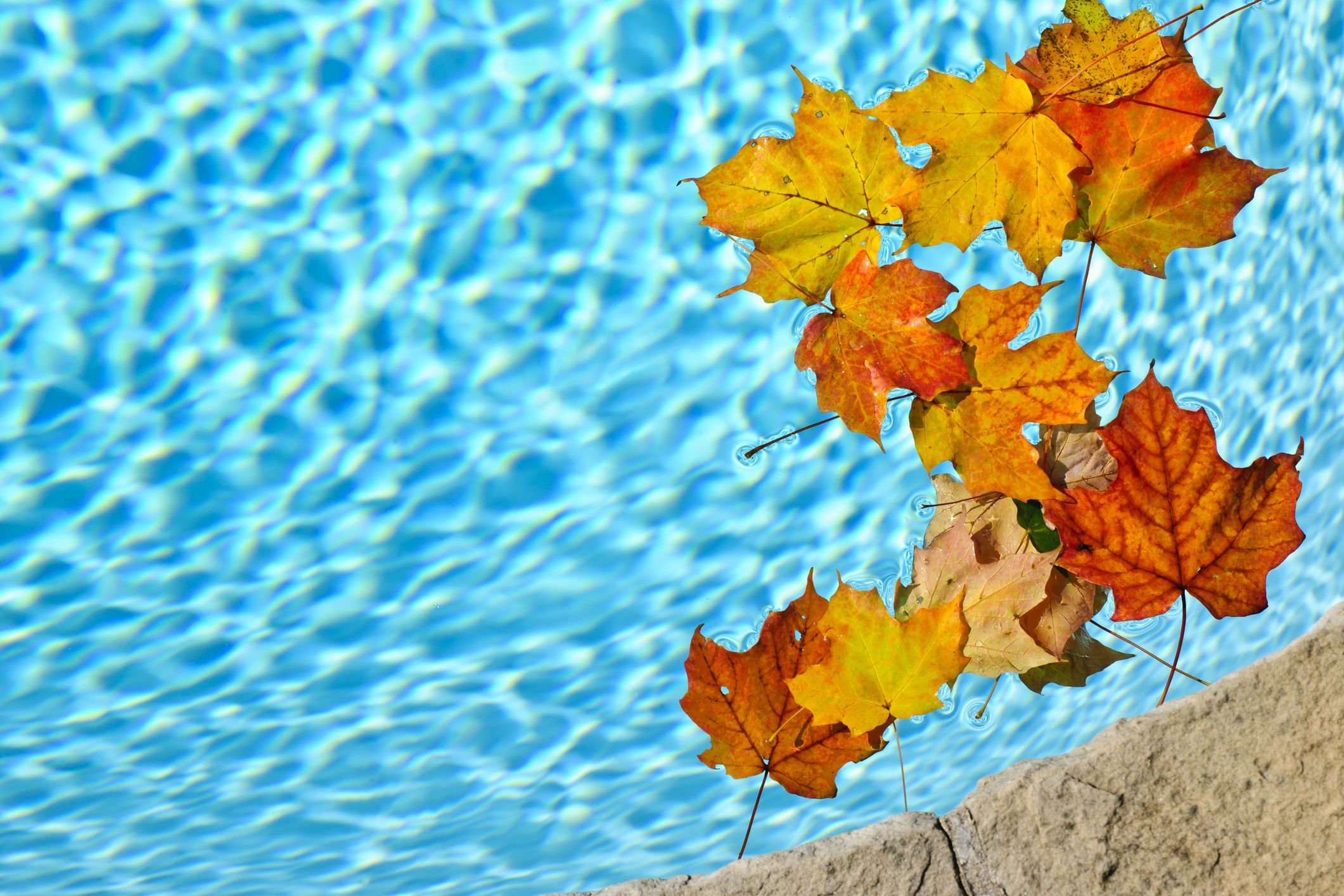 5 Reasons Why Fall is the Best Time of Year to Build a Pool